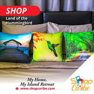 https://www.shopcaribe.com/store/ralytrinidad/